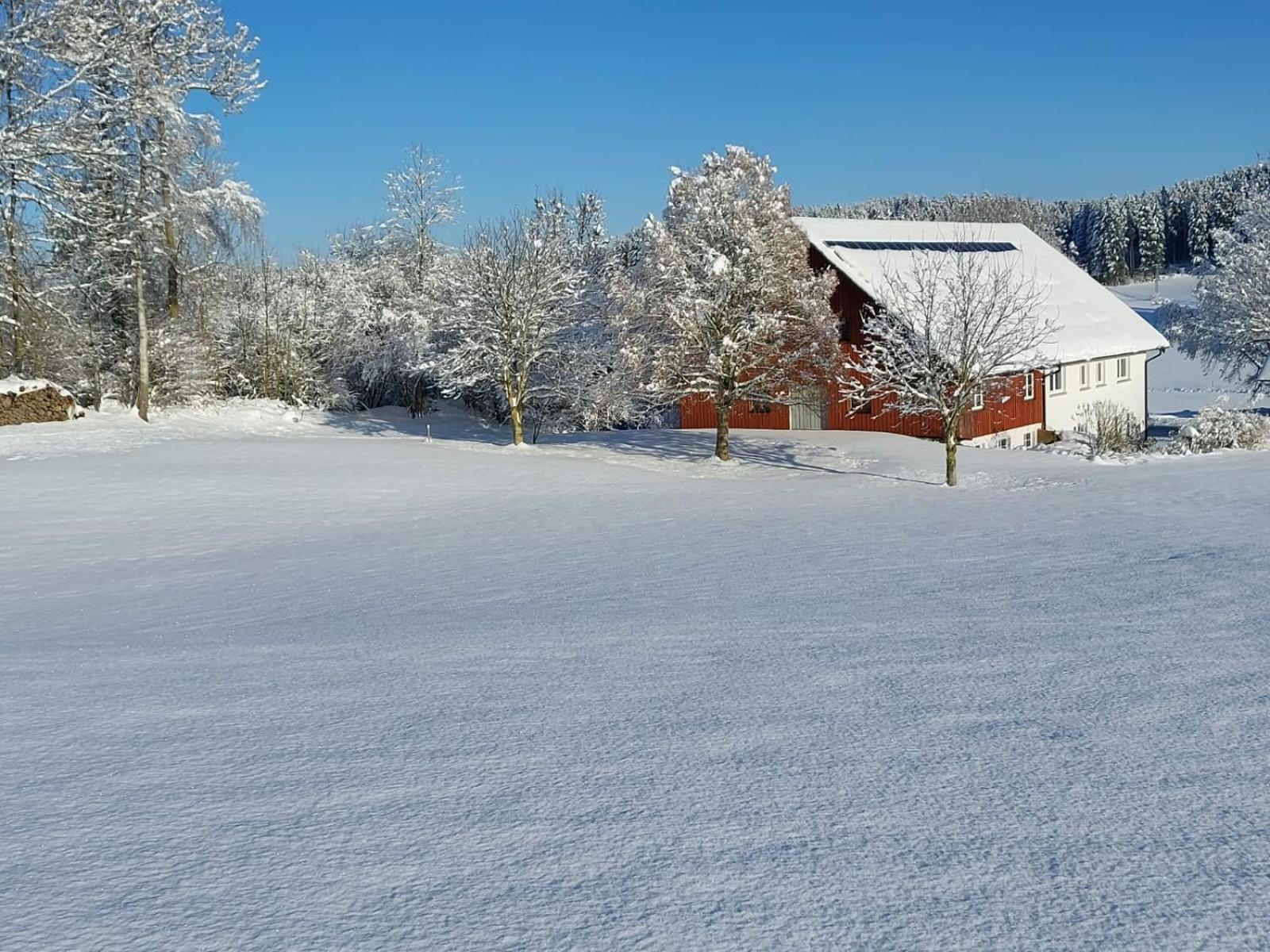 Allgaeu Bergblick Leutkirch im Allgäu Eksteriør bilde